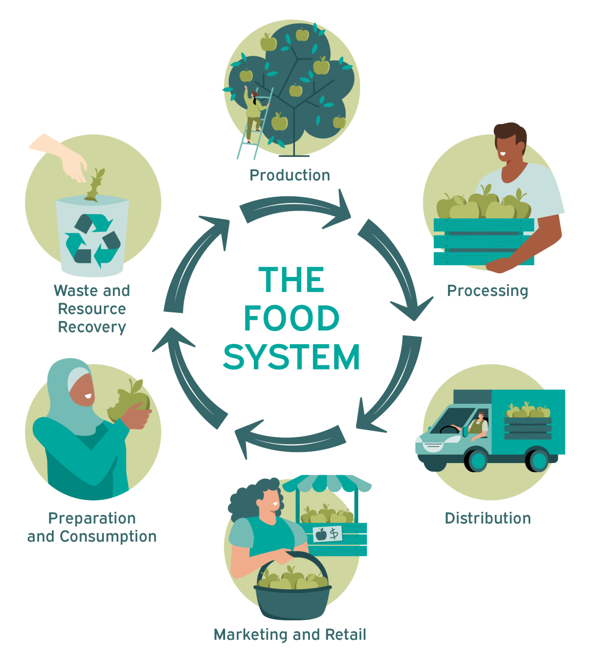 Flourish diagram THE FOOD SYSTEM_cropped